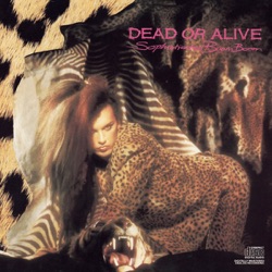 Dead or Alive - The Stranger