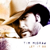 Shotgun Rider by Tim McGraw