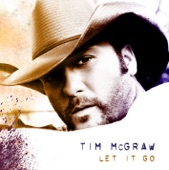 If You're Reading This (Recorded Live at the 2007 Academy of Country Music Awards) artwork