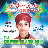 Tajdar-e-Haram - Syed Salman Jilani Qadri