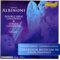 Sinfonia for Strings In G Minor: I. Allegro artwork