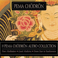 Pema Chödrön - The Pema Chodron Audio Collection artwork