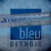 StoneBridge Experience Flavours Detroit album lyrics, reviews, download