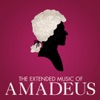 The Extended Music of Amadeus