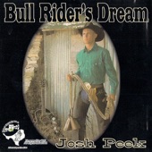 Bull Rider's Dream artwork