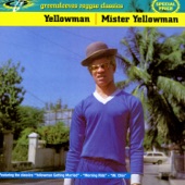 Mister Yellowman artwork