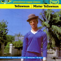 Yellowman - Mister Yellowman artwork