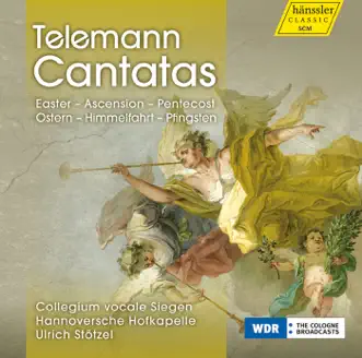 Telemann: Cantatas by Jens Hamann, Georg Poplutz, Stefanie Wüst, Hannoversche Hofkapelle, Angela Froemer, Ulrich Stotzel & Siegen Collegium Vocale album reviews, ratings, credits