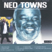 Ned Towns - How Can You Babysit a Man