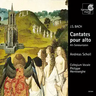 Bach: Cantatas for Alto Solo by Andreas Scholl, Collegium Vocale Gent & Philippe Herreweghe album reviews, ratings, credits