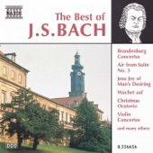 Violin Concerto in E major, BWV 1042: II. Adagio artwork