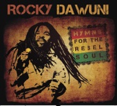 Rocky Dawuni - African Reggae Fever