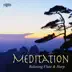 Meditation: Relaxing Flute & Harp album cover