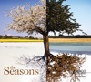 The Seasons