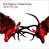 The Pigeon Detectives - Romantic Type