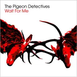 Wait For Me - The Pigeon Detectives