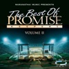 The Best of Promise Keepers, Vol. 2