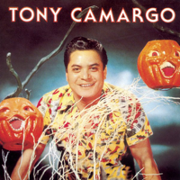 El Año Viejo - Tony Camargo