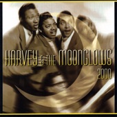 Harvey & the Moonglows 2000 artwork