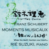 When the Music Touches Your Heart: Rie Suzuki Plays Schubert artwork