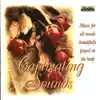 Captivating Sounds-Sanctuary New Age album lyrics, reviews, download