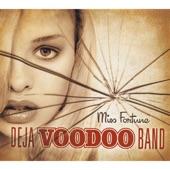 Deja Voodoo Band - Hole in My Pocket