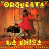 Orquesta la Unica, 1995