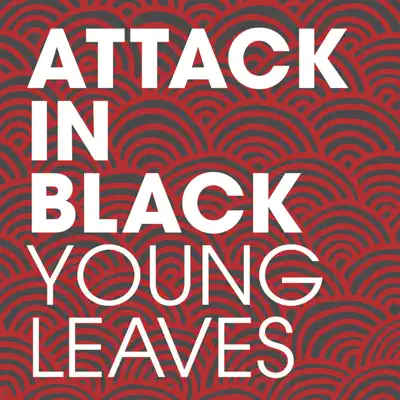 Young Leaves - Attack In Black