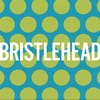 Bristlehead