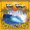 The Wipe Outs - Wipe Out
