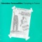 Back to Vietnam - Television Personalities lyrics