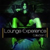 Lounge Experience, Vol. 2