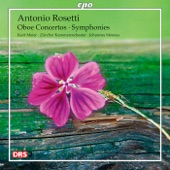 Oboe Concerto No. 2 in C Major, C. 30/III:27: I. Allegro artwork