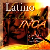 Latino Inca artwork