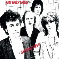 Special View - The Only Ones