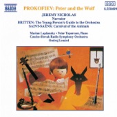 Peter and the Wolf, Op. 67: XII. The Cat and the Bird in the Trees artwork