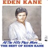 All the Hits Plus More... The Best of Eden Kane (Re-Recorded Versions)