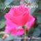 I Know What Love Is - Jamie Biller lyrics