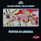 Winter In America artwork