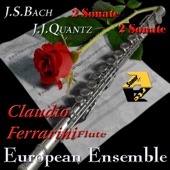 Sonata Concertante N.6 Op.1 In Re Maggiore artwork