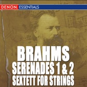 String Sextet No. 1 in B-Flat Major, Op. 18: I. Allegro ma non troppo artwork