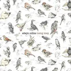 Losing Sleep - Edwyn Collins