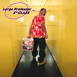 1st Class - Large Professor 1st Class - Large Professor