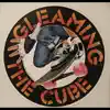 Gleaming the Cube - Single album lyrics, reviews, download