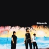Bleach