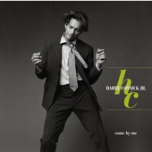 Harry Connick Jr. - There's No Business Like Show Business (Album Version)