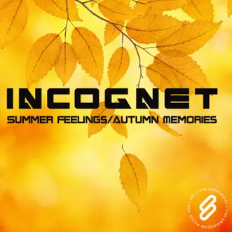 Summer Feelings/autumn Memories - Single by Incognet album reviews, ratings, credits