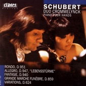 Schubert: Works for Piano 4 Hands, Vol. III artwork