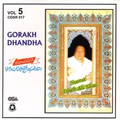 Gorakh Dhandha, Vol.5 artwork