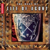 The Best of Life of Agony artwork